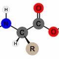 Struktur Molekul